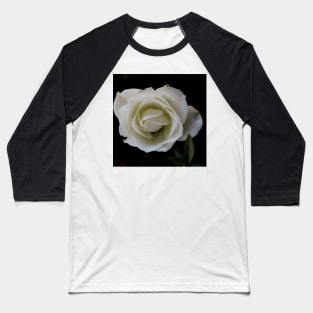 White rose blossom on black background Baseball T-Shirt